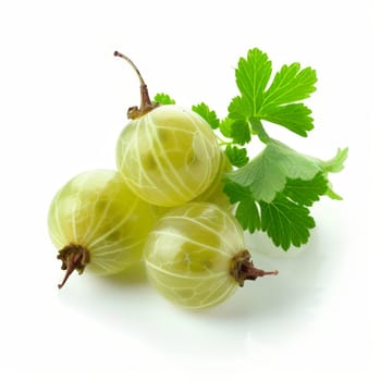 Cluster of ripe green gooseberries with a leaf accent on a white backdrop