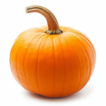 A vibrant orange pumpkin isolated on a white background, showcasing its smooth texture and natural look