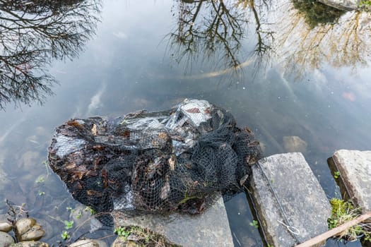 Teichnetz mit Laub und dünne Eisplatten muss rechtzeitig vor der Krötenwanderung vom Gartenteich entfernt werden