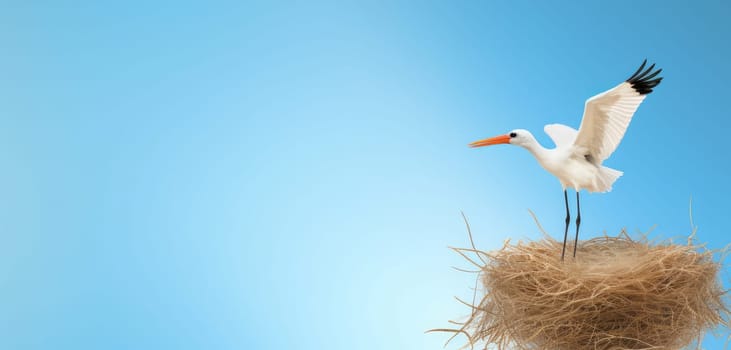 Stork at home. Home nature village. Generate Ai