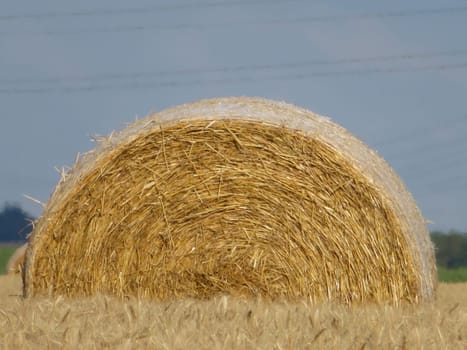 collection of straw round bale animal feed storage