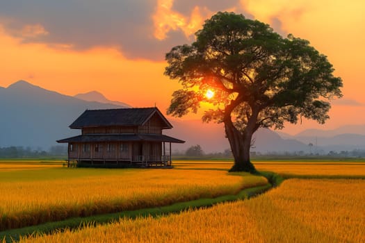 Wooden house, under a big tree in the middle of a rice field, a bright yellow rice field, the sky at sunset, the sun shining, a river flowing through, Homestay  Sustainable travel concept, Generative Ai