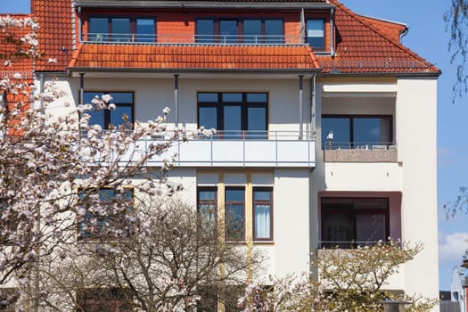 Residential building in spring with magnolia blossom, apartment building, Bremen, Germany