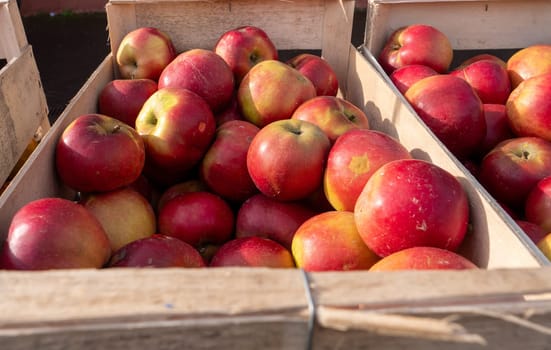 a wooden box full of beautiful red apples