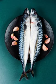 Fresh mackerels and ingredients on light gray table. Preparing mackerel fish to cook.
