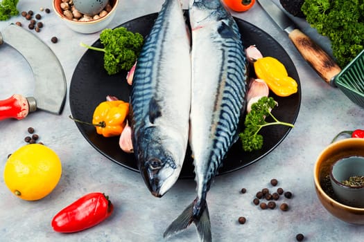 Fresh mackerels and ingredients on light gray table. Preparing mackerel fish to cook.