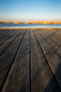 wooden boards on a jetty on lake Neusiedlersee with reed