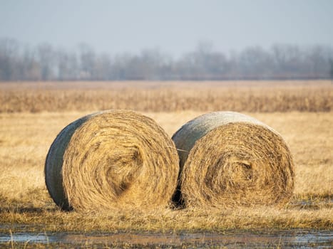 closeup of 2 hay rolls in field