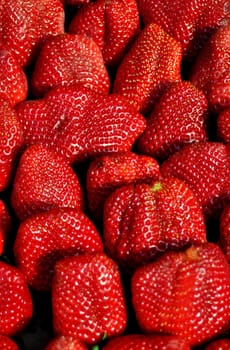 Strawberry. the red berries picked in the summer.