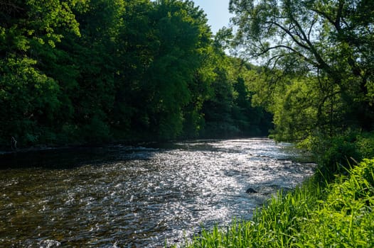 The Eder - A river in Germany in a green landscape