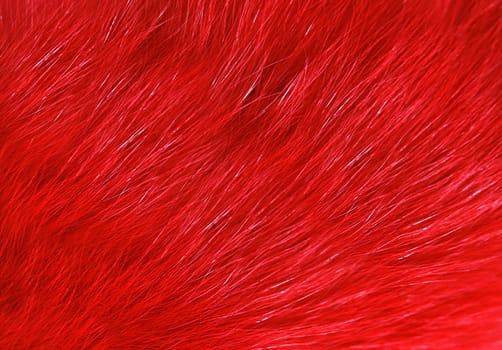 Long-haired faux fur is colored red top view. Texture or background
