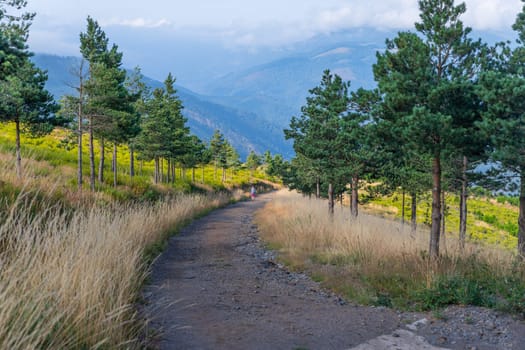 Asturias, Spain: 19 July 2023: Pilgrim on the Camino de Santiago (The Way of Saint James) among the fog morning light at the mountains. Primitivo. Asturias, Spain