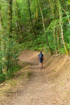 Asturias, Spain: 19 July 2023: Pilgrim on the Camino de Santiago (The Way of Saint James) among the fog morning light at the mountains. Primitivo. Asturias, Spain