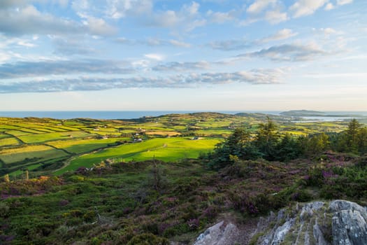 Landscape at the coast near the Lough Hyne in West Cork at sunset, Ireland