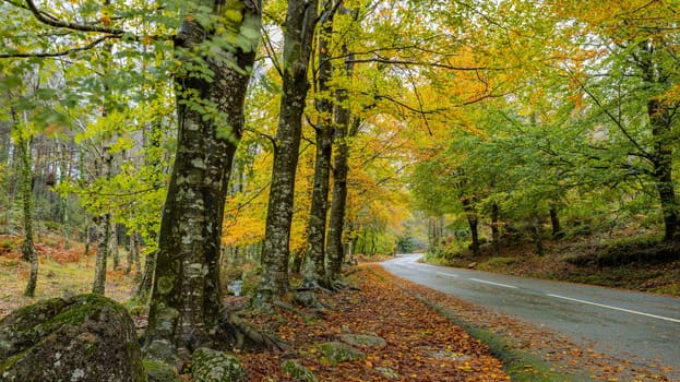 Autumn landscape at Geres National Park, Portugal
