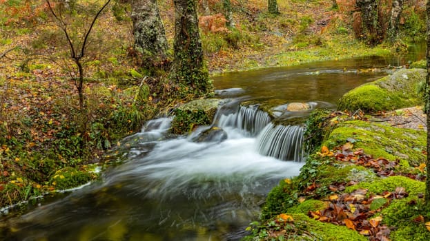 River in Autumn season at Geres National Park, Portugal