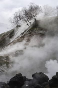 Nature of Kamchatka, Mud volcanoes and steam geysers in Kamchatka.