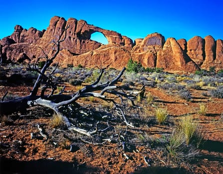 Rock formations in Arches National Park, Utah
