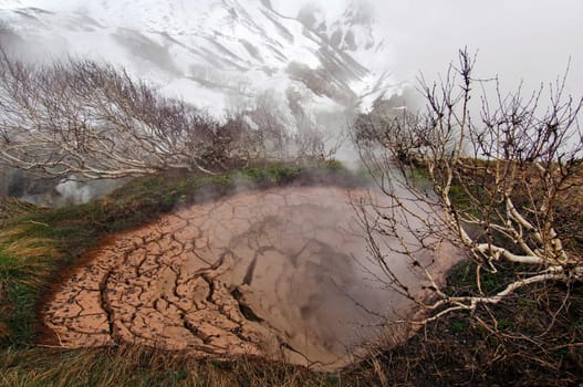 Nature of Kamchatka, Mud volcanoes and steam geysers in Kamchatka.