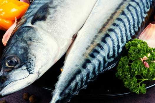 Fresh whole mackerels fish and ingredients for cooking. Raw fish served on a black plate. Flat lay
