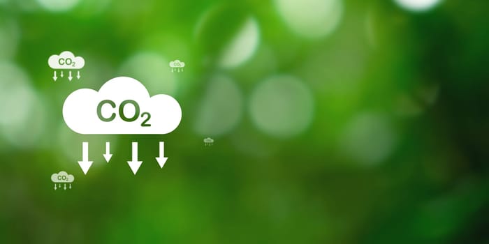 CO2 emission reduction concept, clean and friendly environment without carbon dioxide emissions. Planting trees to reduce CO2 emissions, environmental protection concept.