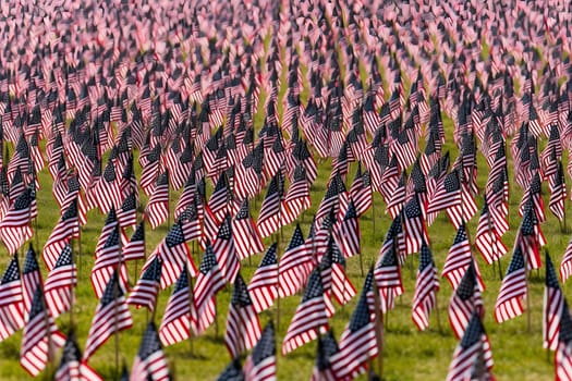 Memorial Day tribute. Many small American flags on a green lawn. Neural network generated in May 2023. Not based on any actual scene or pattern.