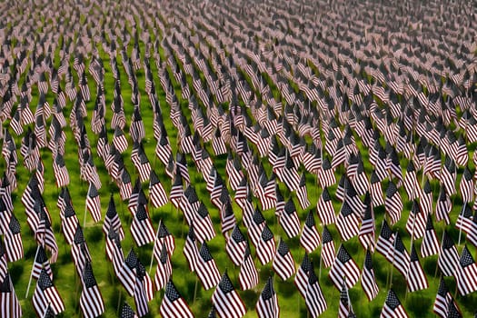 Memorial Day tribute. Many small American flags on a green lawn. Neural network generated in May 2023. Not based on any actual scene or pattern.