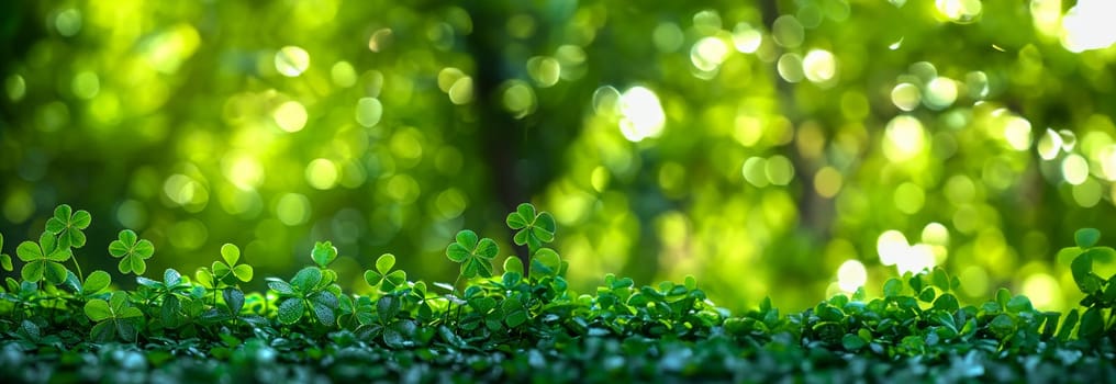 Green St. Patrick day seamless background with clover four-leaf blured leaves. Fresh clover leaves on green background. Copy space. St. Patrick's Day celebration background space for text beauty
