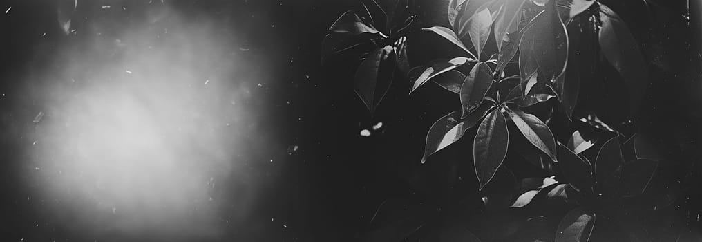 Tropical leaves monochrome effect. Background with dark tropical leaves, fresh flat background. Flat lay. Jungle nature concept artistic copy space