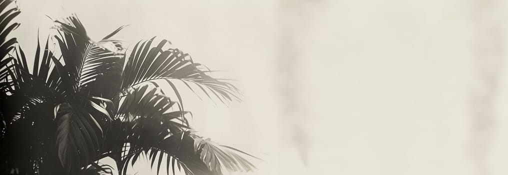 Tropical leaves monochrome effect. Background with dark tropical leaves, fresh flat background. Flat lay. Jungle nature concept artistic copy space