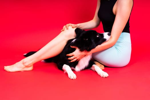 Beautiful female with border collie in a studio, yellow and red background