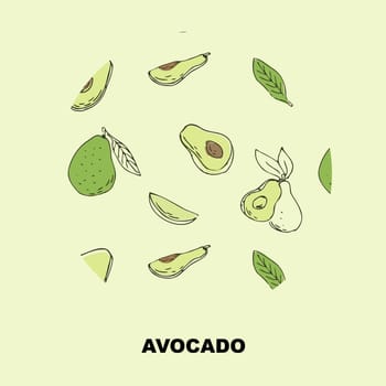 Sketch drawing banner of avocado, outline avocado and half, sliced fruit and seed. Vector illustration can used for wrapping paper, banner and cover design.