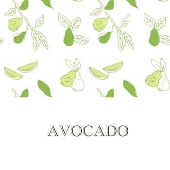 Avocado square banner in color. Whole avocado, sliced pieces, half, leaf and seed sketch.
