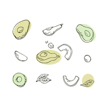 Set of avocado fruits half, sliced and leaf, seed. Vector illustration with simple round. Can used for wrapping, packaging, poster, cover design, textile and backdrop for cosmetic, food vegan products