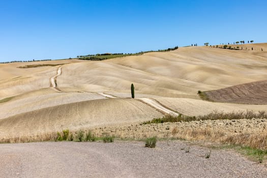 The rural landscape near San Quirico in Tuscany. Italy