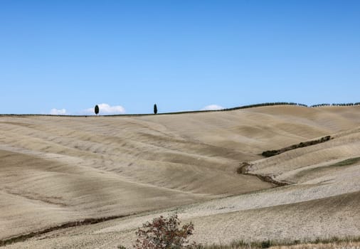The rural landscape near San Quirico in Tuscany. Italy