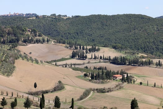 The rural landscape near Pienza in Tuscany. Italy