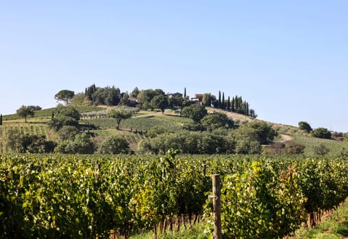 The rural landscape near Pienza in Tuscany. Italy