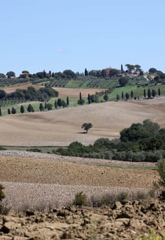 The rural landscape near Pienza in Tuscany. Italy