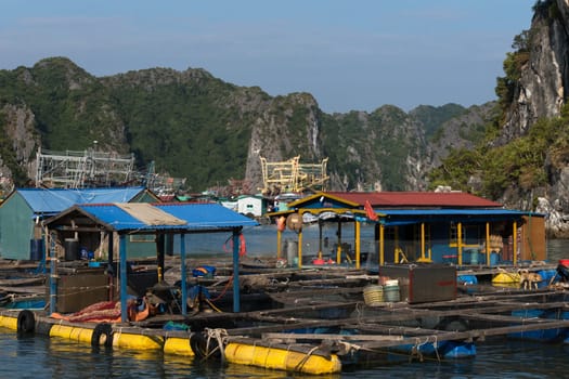 Cat Ba, Vietnam - November 29th, 2016: Houses of a floating village nearby Cat Ba Island in the famous Halong Bay in Vietnam shines brightly in the sun.