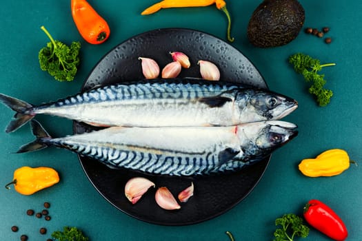 Two fresh mackerels or scomber and ingredients for cooking. Raw fish on old rustic wooden table.