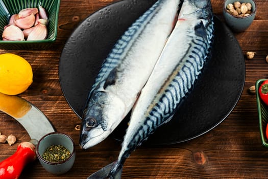 Two fresh mackerels or scomber and ingredients for cooking. Raw fish on old rustic wooden table.