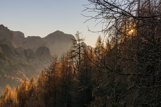 Golden autumn in the alps of Friuli Venezia-Giulia