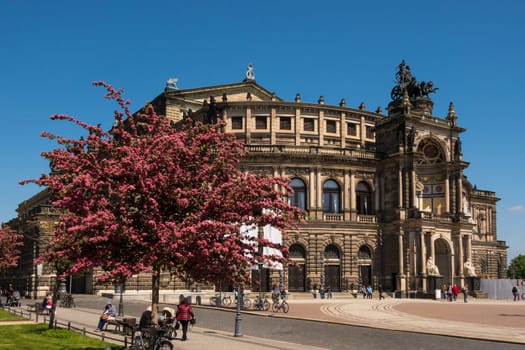 Dresden, Germany - May 18th, 2019: View of the well-known Semperoper, home of the Saxon State Opera and the Saxon State Orchestra, at a sunny day in spring with a tree full with red blossom.
