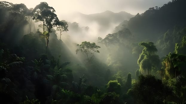 spectacular view on the rainforest in the sunrise. Neural network generated in May 2023. Not based on any actual scene or pattern.
