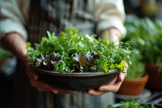 Close-up of assorted leafy greens and herbs held by a vendor at a local market.
