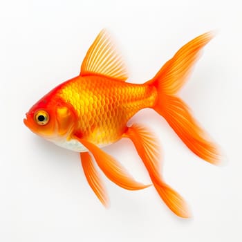 A goldfish on a white background generated by artificial intelligence