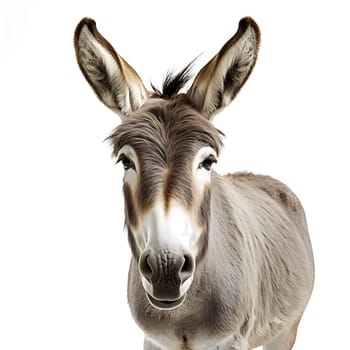 Photo of a donkey generated by artificial intelligence