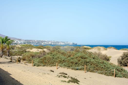Sand dunes of Maspalomas with a view to a town on the Canary Island of Gran Canaria, Spain, Europe. The huge sand dunes resemble a small desert and are a nature reserve.