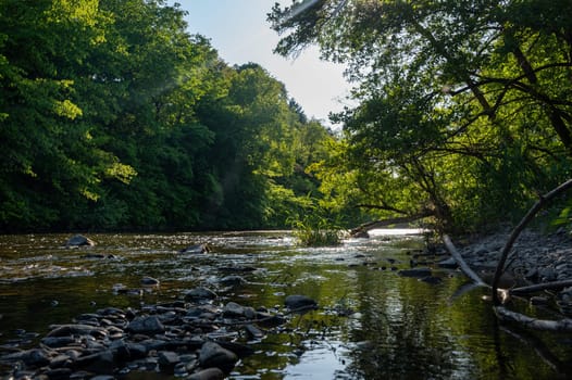 The Eder - A river in Germany in a green landscape